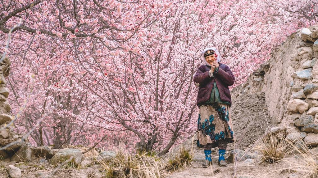 新疆旅游季节