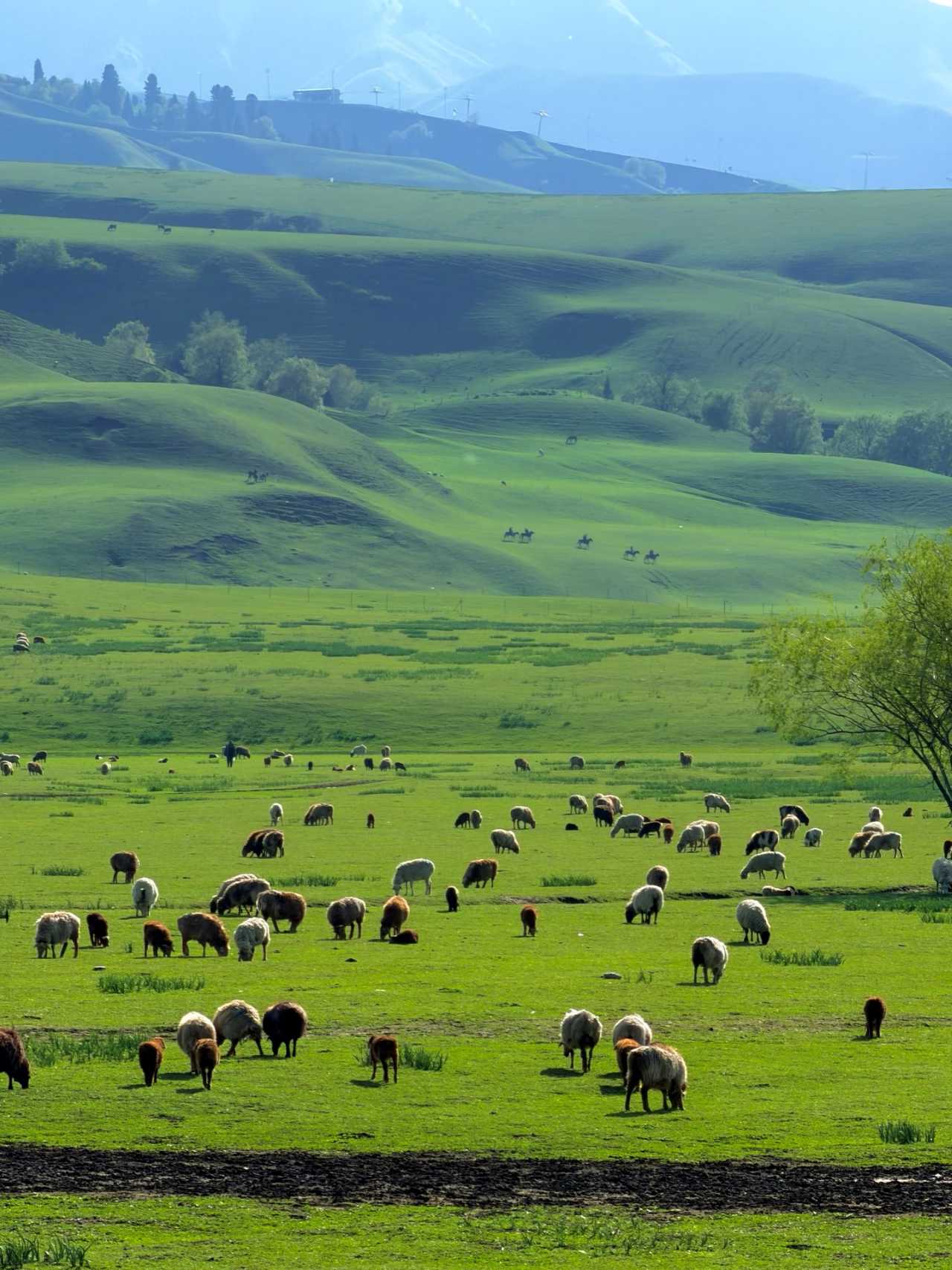 80ac924d86a5ee01cfba134996f16cbc 80ac924d86a5ee01cfba134996f16cbc
